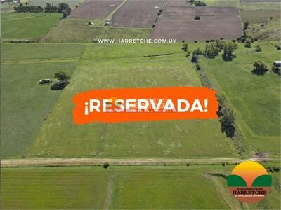 aviso relacionado