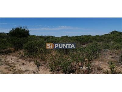 aviso relacionado