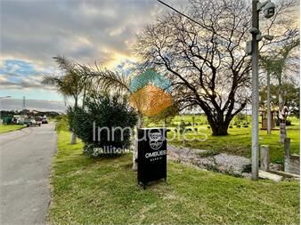 https://www.gallito.com.uy/venta-de-terrenos-en-barrio-ombues-san-nicolas-inmuebles-27415576