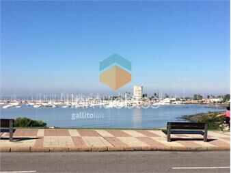 https://www.gallito.com.uy/monoambiente-alquiler-temporario-o-mes-en-puerto-de-buceo-inmuebles-27406874