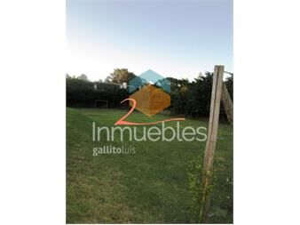 https://www.gallito.com.uy/casa-en-golf-4-dormitorios-inmuebles-16664074