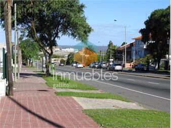 https://www.gallito.com.uy/proxnautico-casa-padron-unico-en-una-planta-inmuebles-15499252