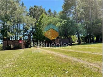 https://www.gallito.com.uy/venta-chacra-maldonado-ruta-9-inmuebles-23068943