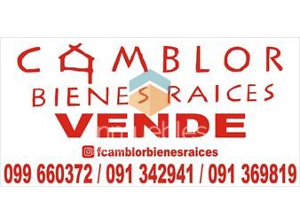https://www.gallito.com.uy/local-con-renta-inmuebles-25934942