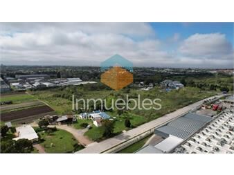 https://www.gallito.com.uy/terreno-1-ha-frente-a-la-coca-cola-carrasco-norte-inmuebles-26168975