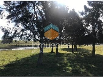 https://www.gallito.com.uy/chacra-con-muy-linda-vista-inmuebles-17853229