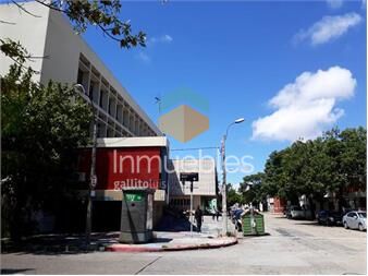 https://www.gallito.com.uy/amplio-a-pasos-palacio-facultades-y-mam-sin-gcomunes-inmuebles-26831766