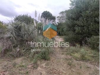 https://www.gallito.com.uy/dueña-vende-terreno-baldio-en-santa-isable-de-la-pedrera-inmuebles-26844739