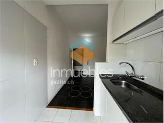 https://www.gallito.com.uy/precioso-apartamento-con-balcon-calefon-cortina-y-extract-inmuebles-26945653