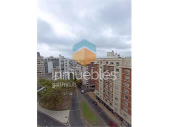 https://www.gallito.com.uy/alquiler-apartamento-2-dormitorios-en-piso-13-muy-luminoso-inmuebles-27169197