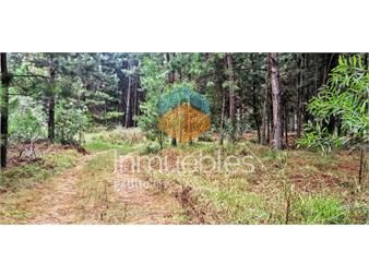 https://www.gallito.com.uy/espectacular-terreno-con-mejoras-en-el-bosque-del-diablo-inmuebles-27174771
