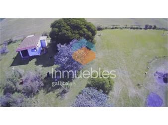 https://www.gallito.com.uy/hectarea-con-monoambiente-en-colonia-estrella-carmelo-inmuebles-27179319