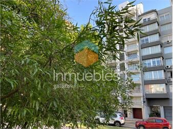 https://www.gallito.com.uy/excelente-ubicacion-luminoso-buena-vista-frente-a-plaza-inmuebles-27284898