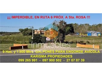 https://www.gallito.com.uy/imperdible-campo-con-unidad-productiva-lista-prox-sta-rosa-inmuebles-27288928