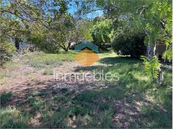 https://www.gallito.com.uy/terreno-en-cuchilla-alta-macari-vende-inmuebles-27306174