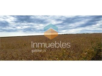 https://www.gallito.com.uy/establecimiento-de-104-has-agricola-ganadero-inmuebles-27324807