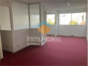 https://www.gallito.com.uy/venta-apartamento-1-dormitorio-centro-inmuebles-27343111