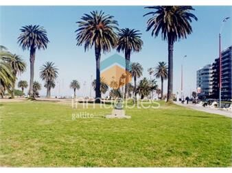 https://www.gallito.com.uy/espectacular-planta-frente-al-parque-a-pasos-del-mar-inmuebles-27347404