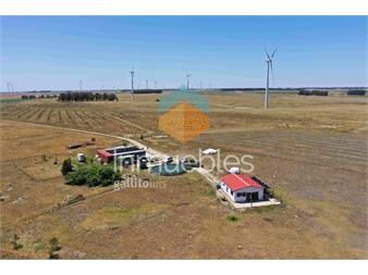 https://www.gallito.com.uy/establecimiento-de-104-has-agricola-ganadero-inmuebles-27324807