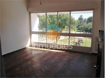 https://www.gallito.com.uy/frente-al-zoo-1°-al-frente-inmuebles-27374298