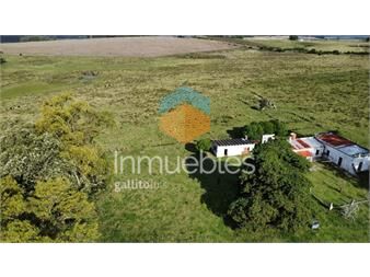 https://www.gallito.com.uy/campo-30-hectareas-ruta-9-alta-productividad-inmuebles-27379518