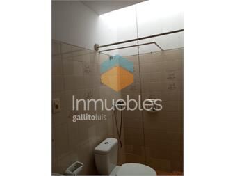 https://www.gallito.com.uy/muy-luminosa-inmuebles-27387156