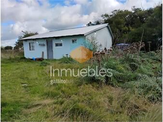 https://www.gallito.com.uy/excepcional-chacra-100-agricola-inmuebles-27437741