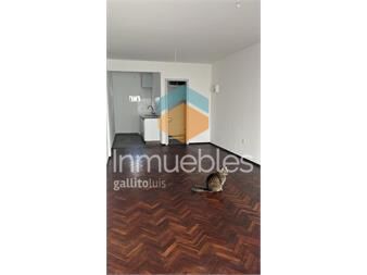 https://www.gallito.com.uy/lindo-monoambiente-en-goes-inmuebles-27448317
