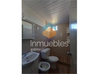 https://www.gallito.com.uy/alquilo-apartamento-euskaleria-71-inmuebles-27465823