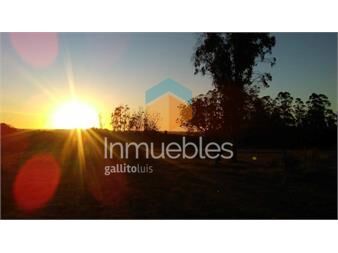 https://www.gallito.com.uy/casa-de-campo-a-13-km-del-mar-y-rocha-ciudad-inmuebles-27477863