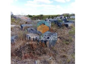 https://www.gallito.com.uy/cantera-de-marmol-y-granito-inmuebles-27478093