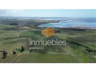 https://www.gallito.com.uy/campo-a-orillas-de-laguna-j-ignacio-apto-para-fraccionar-inmuebles-27493694