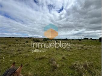 https://www.gallito.com.uy/167ha-en-zona-la-centinela-rocha-inmuebles-27493899
