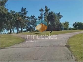 https://www.gallito.com.uy/chara-sobre-camino-de-los-ceibos-inmuebles-27535717