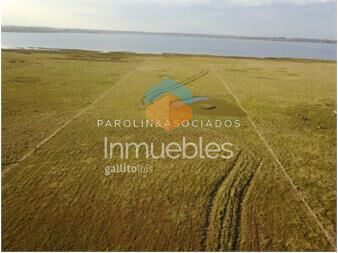 https://www.gallito.com.uy/chacra-5-hectareas-jose-ignacio-punta-del-este-inmuebles-18295571