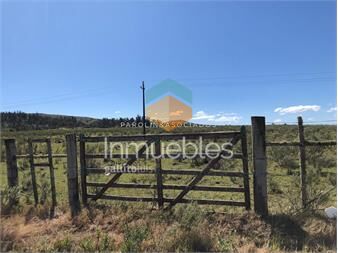 https://www.gallito.com.uy/campo-en-venta-excelente-lugar-inmuebles-19303980