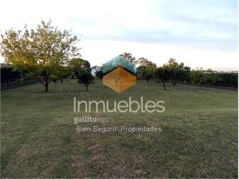 https://www.gallito.com.uy/gran-terreno-en-venta-en-camino-de-las-colmenas-cw70107-inmuebles-11960950