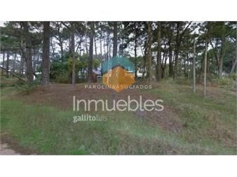 https://www.gallito.com.uy/terreno-en-venta-montoya-la-barra-inmuebles-19721445