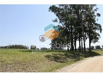 https://www.gallito.com.uy/terreno-en-venta-zona-barra-inmuebles-20001012
