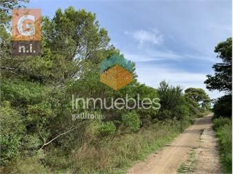 https://www.gallito.com.uy/terreno-en-piriapolis-playa-hermosa-ref3044-inmuebles-20122408