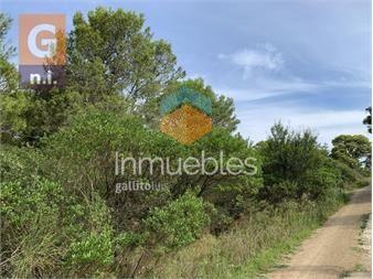 https://www.gallito.com.uy/terreno-en-piriapolis-playa-hermosa-ref3043-inmuebles-20122411