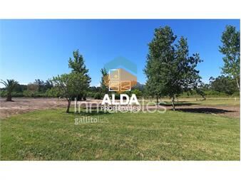 https://www.gallito.com.uy/terreno-en-pueblo-obrero-ref-te101129-inmuebles-20295939