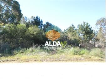 https://www.gallito.com.uy/terreno-en-punta-colorada-ref-te200348-inmuebles-20297118