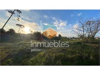 https://www.gallito.com.uy/terrenos-en-av-boulevard-inmuebles-20499463