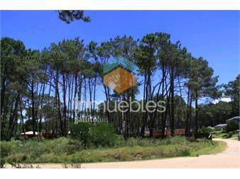 https://www.gallito.com.uy/venta-de-lote-en-barrio-privado-laguna-blanca-la-barra-inmuebles-19957284