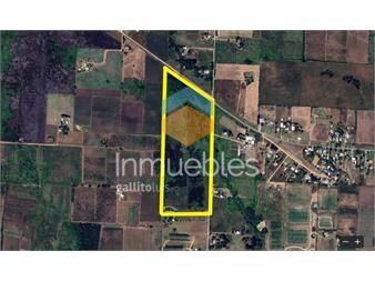 https://www.gallito.com.uy/terreno-excelente-padron-de-13-hectareas-proximo-uam-inmuebles-22706534