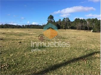 https://www.gallito.com.uy/venta-terreno-rincon-del-indio-inmuebles-23322137