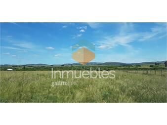 https://www.gallito.com.uy/chacra-en-las-cañas-con-casa-y-costa-de-arroyo-inmuebles-22908553