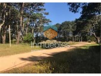 https://www.gallito.com.uy/terreno-en-rincon-del-indio-a-pocas-cuadra-de-la-playa-brav-inmuebles-22908896