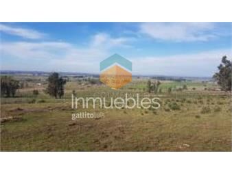 https://www.gallito.com.uy/campo-de-37-has-en-los-ceibos-las-vertientes-inmuebles-22908966